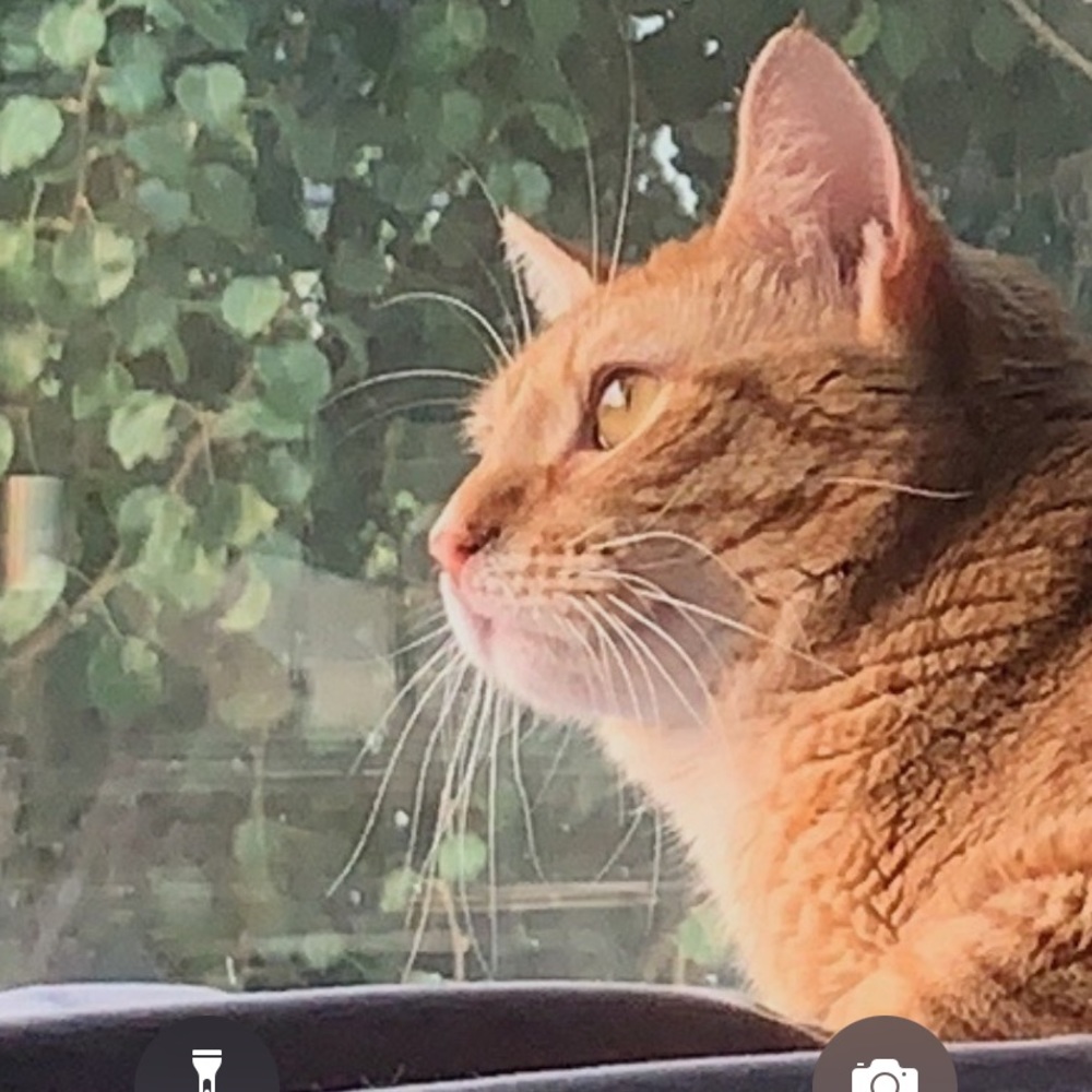 Meet your Posher, Yu